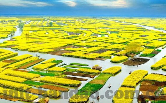 德州扑克2018比赛-德州扑克2018比赛，策略与激情的碰撞