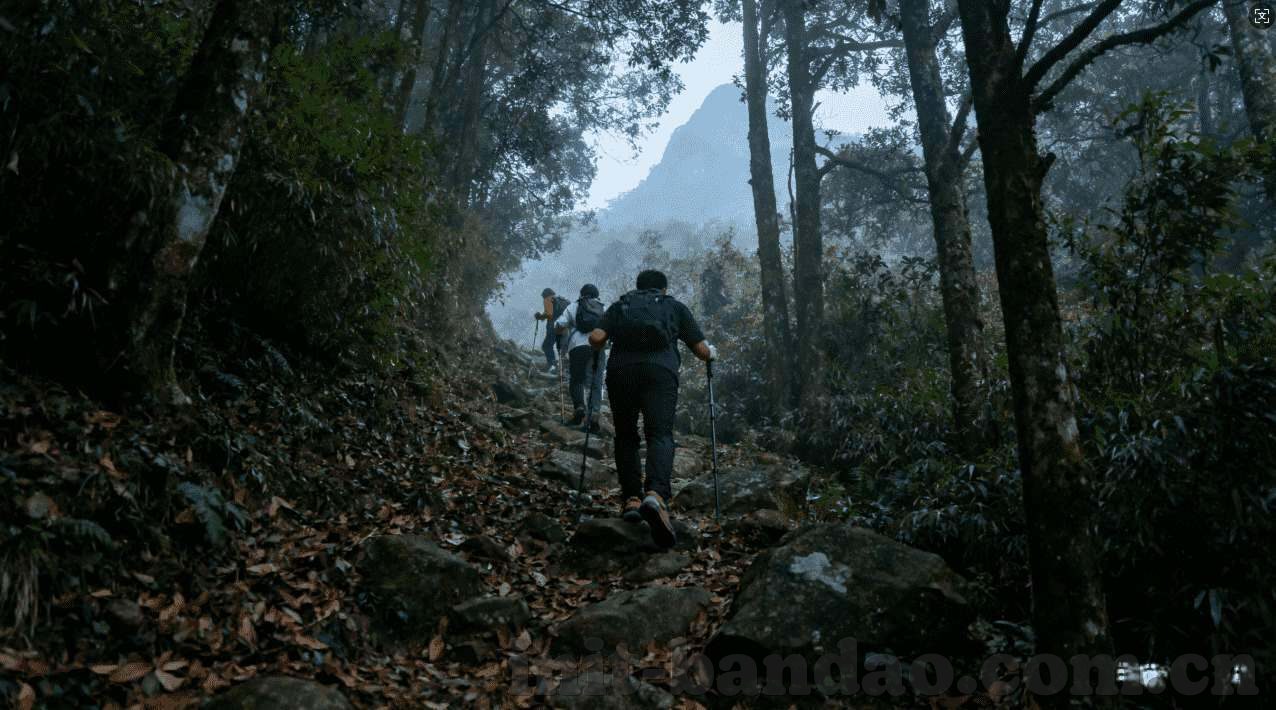 德州扑克偷盲打法-德州扑克中的偷盲打法，策略与技巧