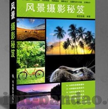 日本踢足球比分-日本足球，比分背后的崛起之路与竞技风云